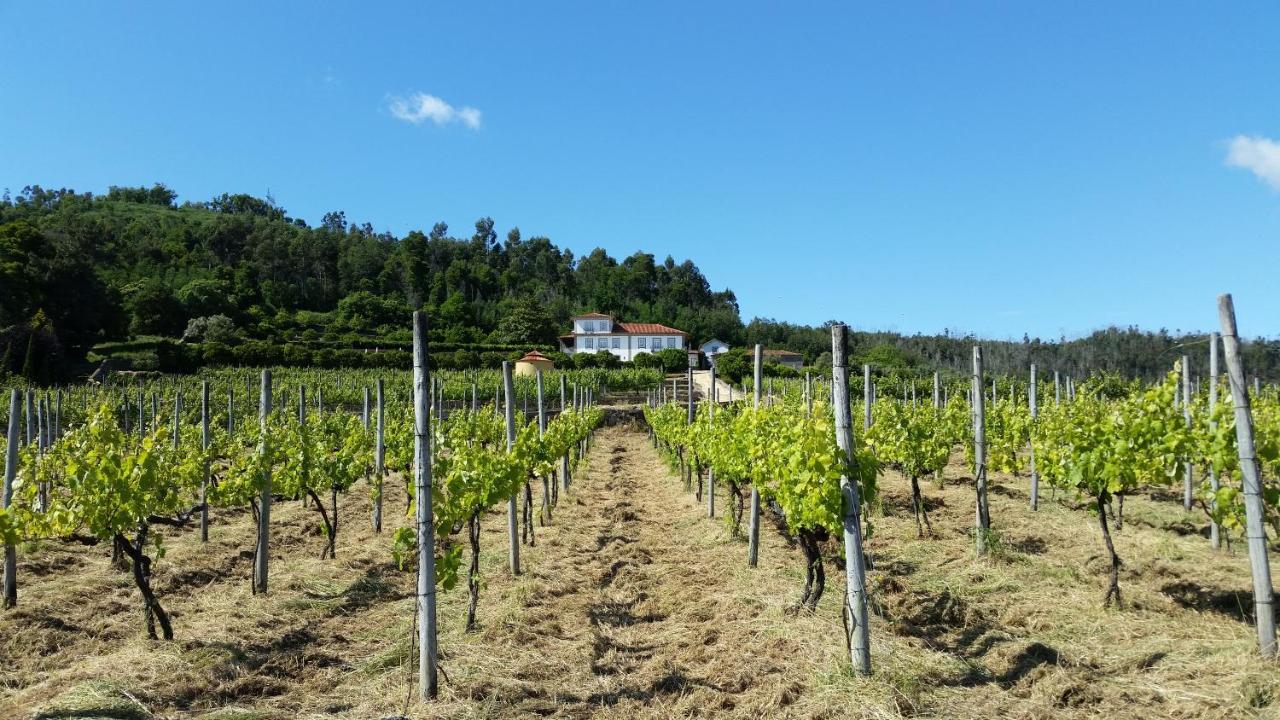 הוילה Vila de Punhe Casas Do Monte De Roques מראה חיצוני תמונה