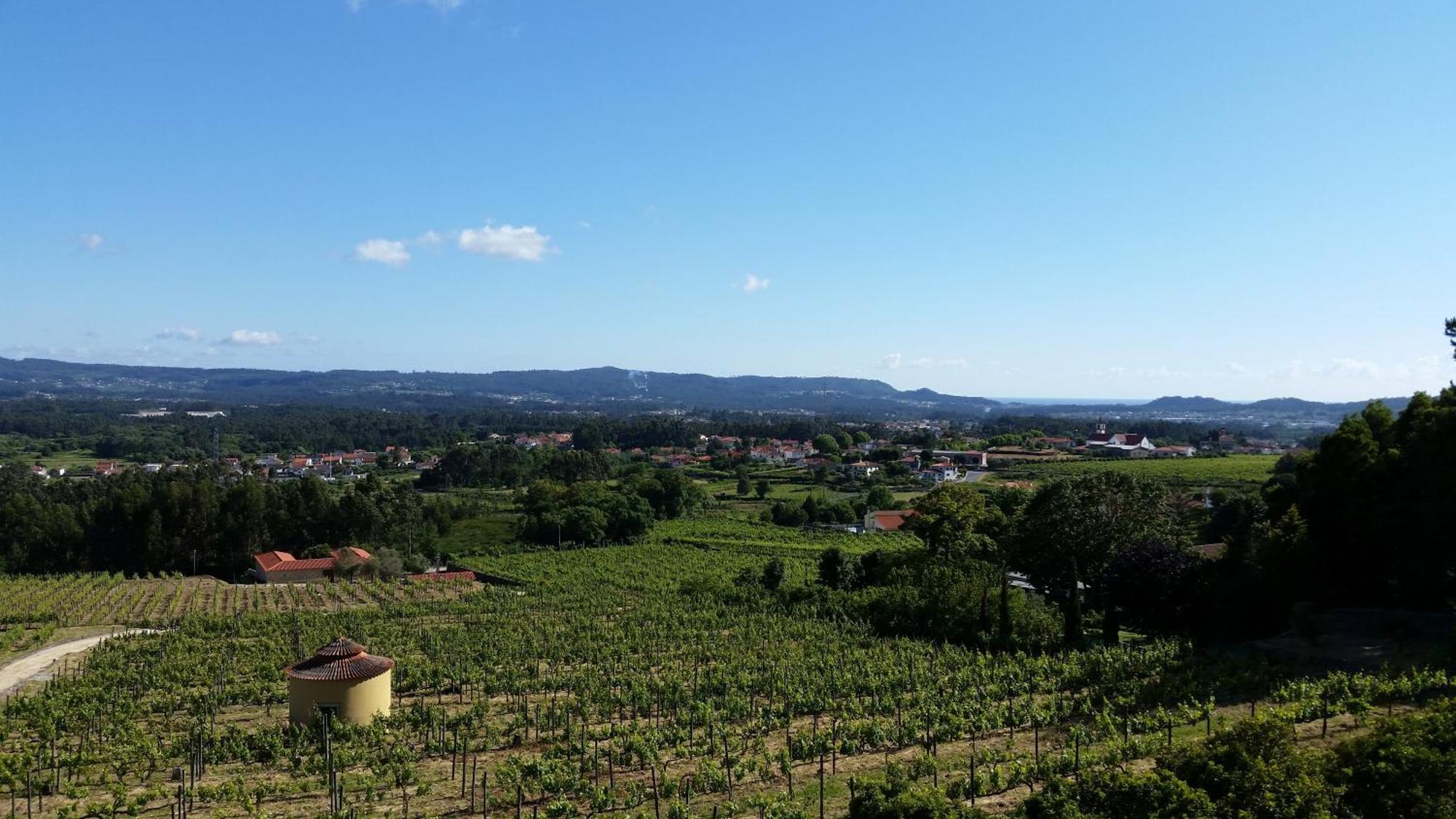 הוילה Vila de Punhe Casas Do Monte De Roques מראה חיצוני תמונה