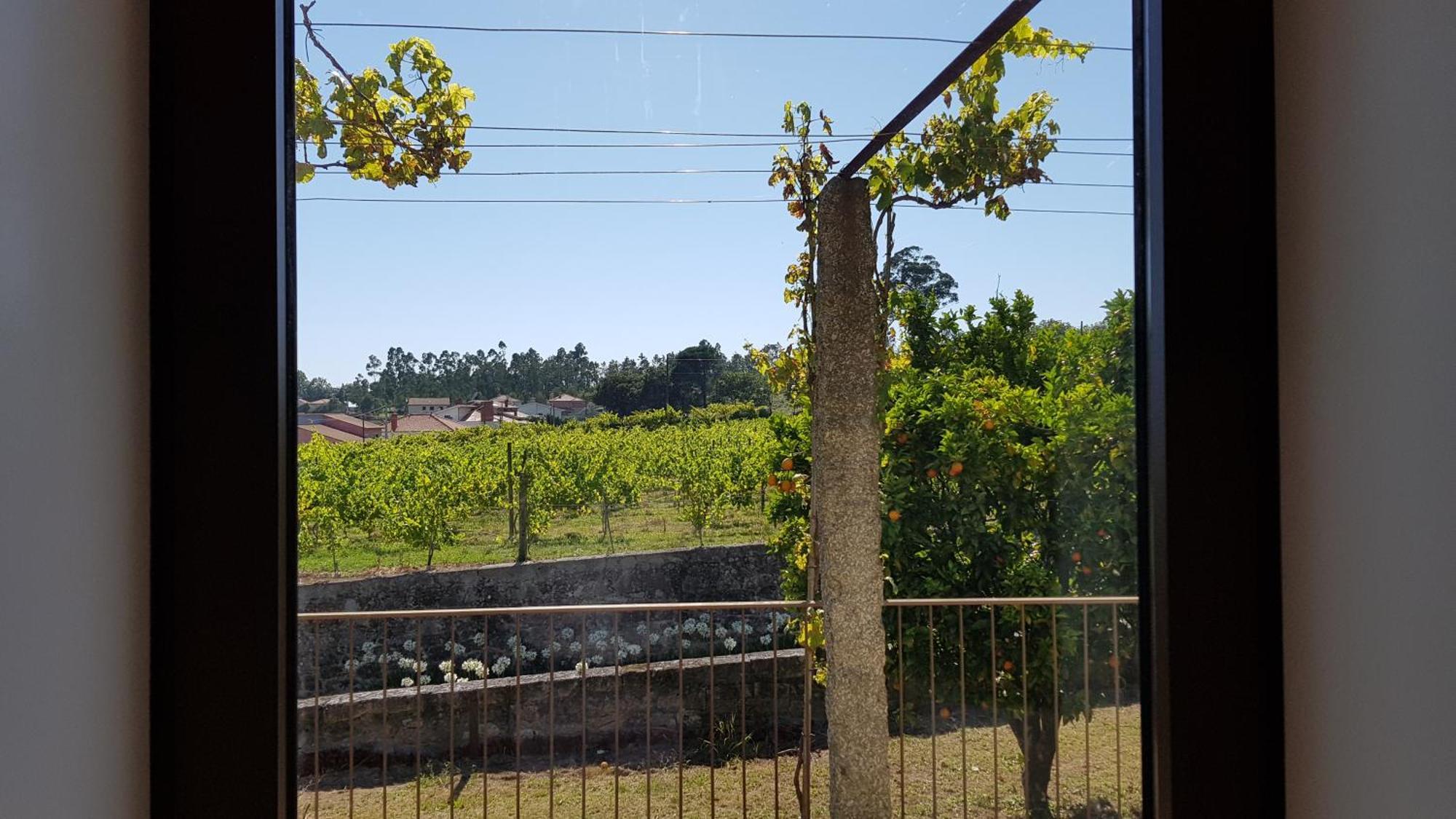 הוילה Vila de Punhe Casas Do Monte De Roques חדר תמונה